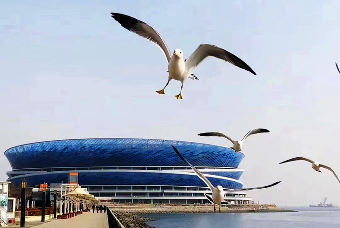 大连人解散两周年，一直牢记说过的话！大连足球和英博应居安思危|大连人队|大连人职业足球俱乐部|球迷|足球城|俱乐部_新浪体育_新浪新闻